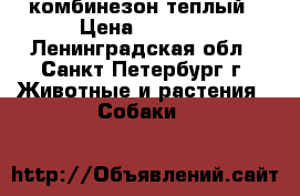 комбинезон теплый › Цена ­ 1 300 - Ленинградская обл., Санкт-Петербург г. Животные и растения » Собаки   